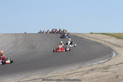 30 & 31/05/2015 : SuperKart 250, TTI Carbone et Championnat de France Long Circuit KZ2 et KZ2 Gentleman à Lédenon (Photos Stéphane Agnus) 2015 — karting