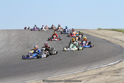 30 & 31/05/2015 : SuperKart 250, TTI Carbone et Championnat de France Long Circuit KZ2 et KZ2 Gentleman à Lédenon (Photos Stéphane Agnus) 2015 — karting