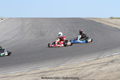 30 & 31/05/2015 : SuperKart 250, TTI Carbone et Championnat de France Long Circuit KZ2 et KZ2 Gentleman à Lédenon (Photos Stéphane Agnus) 2015 — karting