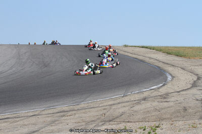 30 & 31/05/2015 : SuperKart 250, TTI Carbone et Championnat de France Long Circuit KZ2 et KZ2 Gentleman à Lédenon (Photos Stéphane Agnus) 2015 — karting
