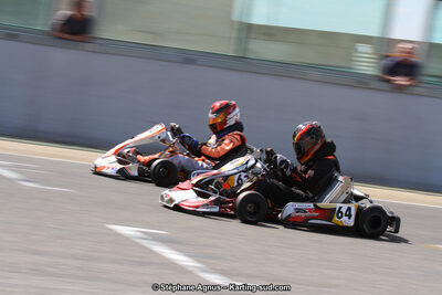 30 & 31/05/2015 : SuperKart 250, TTI Carbone et Championnat de France Long Circuit KZ2 et KZ2 Gentleman à Lédenon (Photos Stéphane Agnus) 2015 — karting