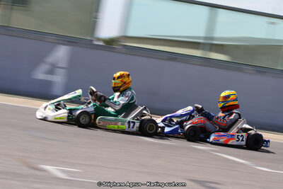 30 & 31/05/2015 : SuperKart 250, TTI Carbone et Championnat de France Long Circuit KZ2 et KZ2 Gentleman à Lédenon (Photos Stéphane Agnus) 2015 — karting