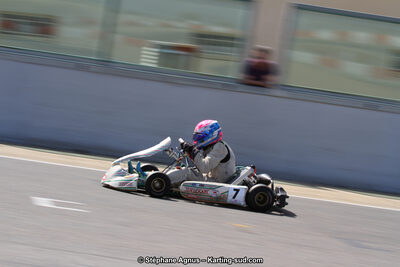 30 & 31/05/2015 : SuperKart 250, TTI Carbone et Championnat de France Long Circuit KZ2 et KZ2 Gentleman à Lédenon (Photos Stéphane Agnus) 2015 — karting