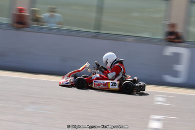 30 & 31/05/2015 : SuperKart 250, TTI Carbone et Championnat de France Long Circuit KZ2 et KZ2 Gentleman à Lédenon (Photos Stéphane Agnus) 2015 — karting