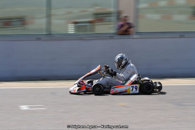 30 & 31/05/2015 : SuperKart 250, TTI Carbone et Championnat de France Long Circuit KZ2 et KZ2 Gentleman à Lédenon (Photos Stéphane Agnus) 2015 — karting