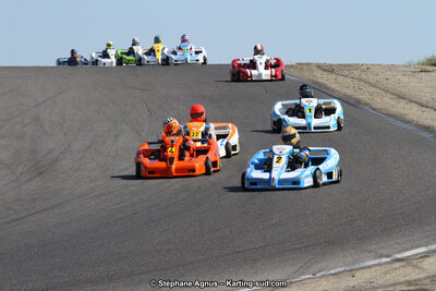 30 & 31/05/2015 : SuperKart 250, TTI Carbone et Championnat de France Long Circuit KZ2 et KZ2 Gentleman à Lédenon (Photos Stéphane Agnus) 2015 — karting