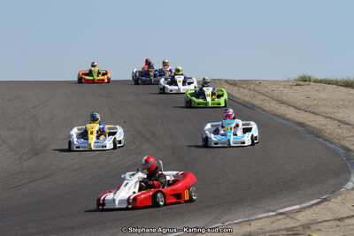 30 & 31/05/2015 : SuperKart 250, TTI Carbone et Championnat de France Long Circuit KZ2 et KZ2 Gentleman à Lédenon (Photos Stéphane Agnus) 2015 — karting