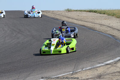 30 & 31/05/2015 : SuperKart 250, TTI Carbone et Championnat de France Long Circuit KZ2 et KZ2 Gentleman à Lédenon (Photos Stéphane Agnus) 2015 — karting