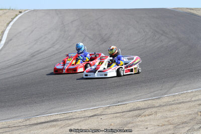 30 & 31/05/2015 : SuperKart 250, TTI Carbone et Championnat de France Long Circuit KZ2 et KZ2 Gentleman à Lédenon (Photos Stéphane Agnus) 2015 — karting