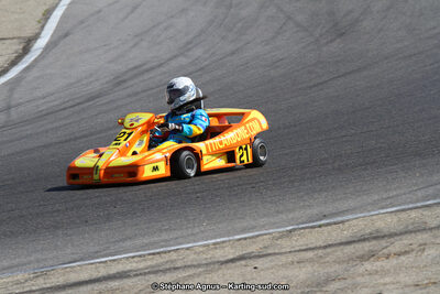 30 & 31/05/2015 : SuperKart 250, TTI Carbone et Championnat de France Long Circuit KZ2 et KZ2 Gentleman à Lédenon (Photos Stéphane Agnus) 2015 — karting