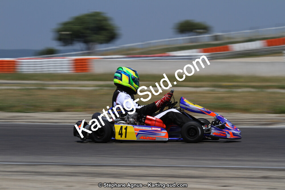 30 & 31/05/2015 : SuperKart 250, TTI Carbone et Championnat de France Long Circuit KZ2 et KZ2 Gentleman à Lédenon (Photos Stéphane Agnus) 2015 — karting