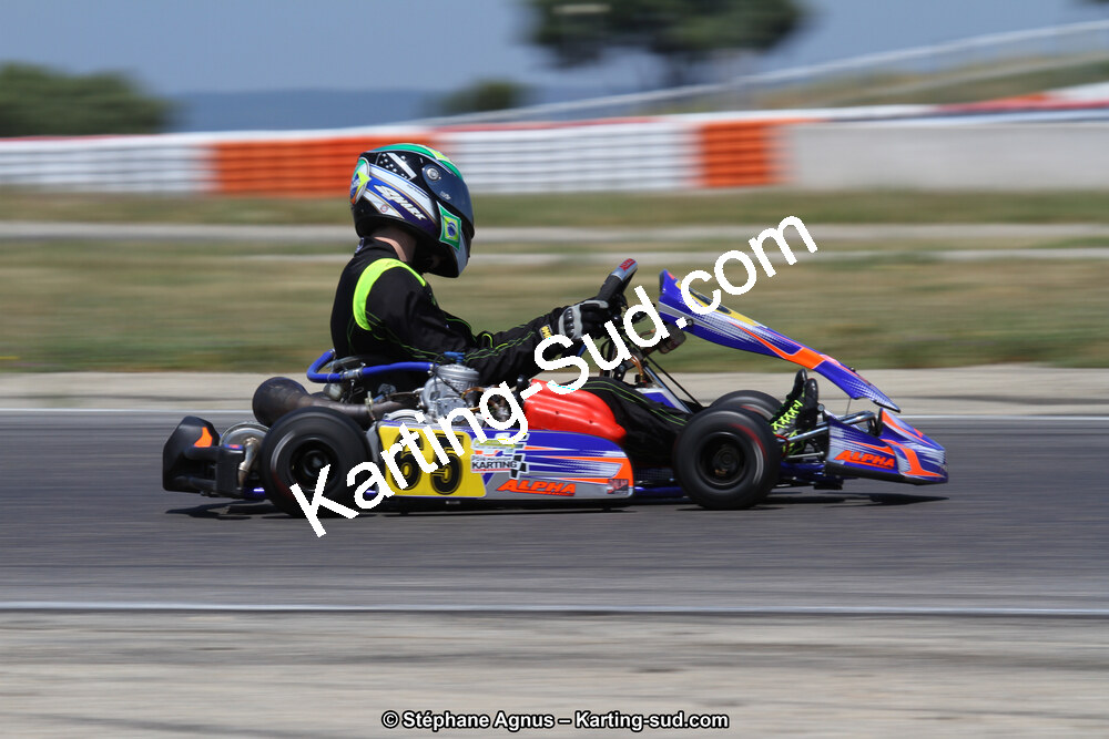 30 & 31/05/2015 : SuperKart 250, TTI Carbone et Championnat de France Long Circuit KZ2 et KZ2 Gentleman à Lédenon (Photos Stéphane Agnus) 2015 — karting