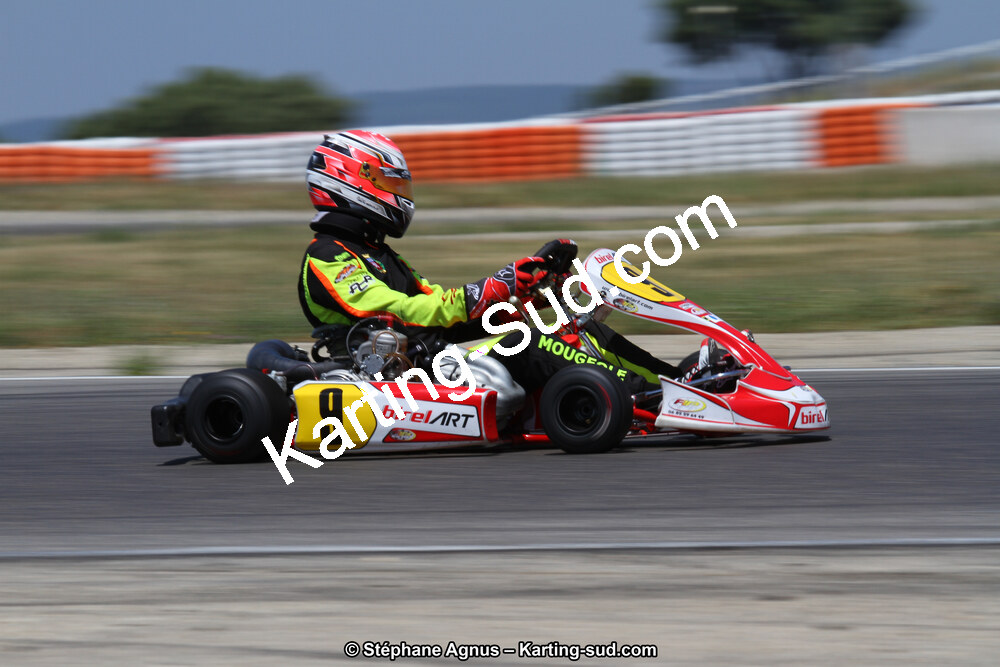 30 & 31/05/2015 : SuperKart 250, TTI Carbone et Championnat de France Long Circuit KZ2 et KZ2 Gentleman à Lédenon (Photos Stéphane Agnus) 2015 — karting