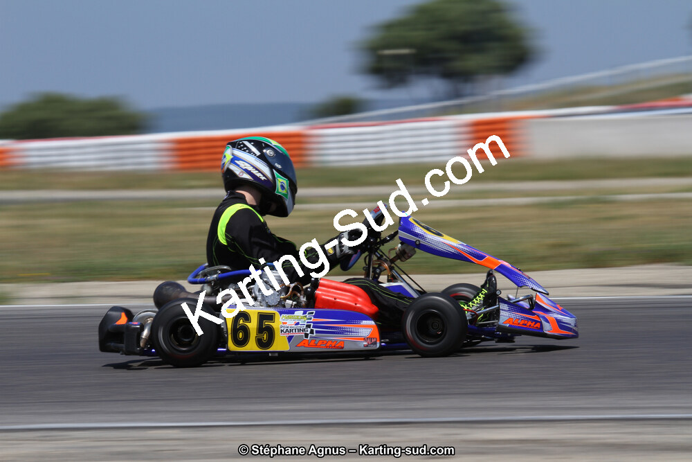 30 & 31/05/2015 : SuperKart 250, TTI Carbone et Championnat de France Long Circuit KZ2 et KZ2 Gentleman à Lédenon (Photos Stéphane Agnus) 2015 — karting