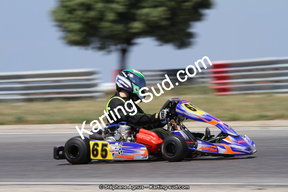30 & 31/05/2015 : SuperKart 250, TTI Carbone et Championnat de France Long Circuit KZ2 et KZ2 Gentleman à Lédenon (Photos Stéphane Agnus) 2015 — karting