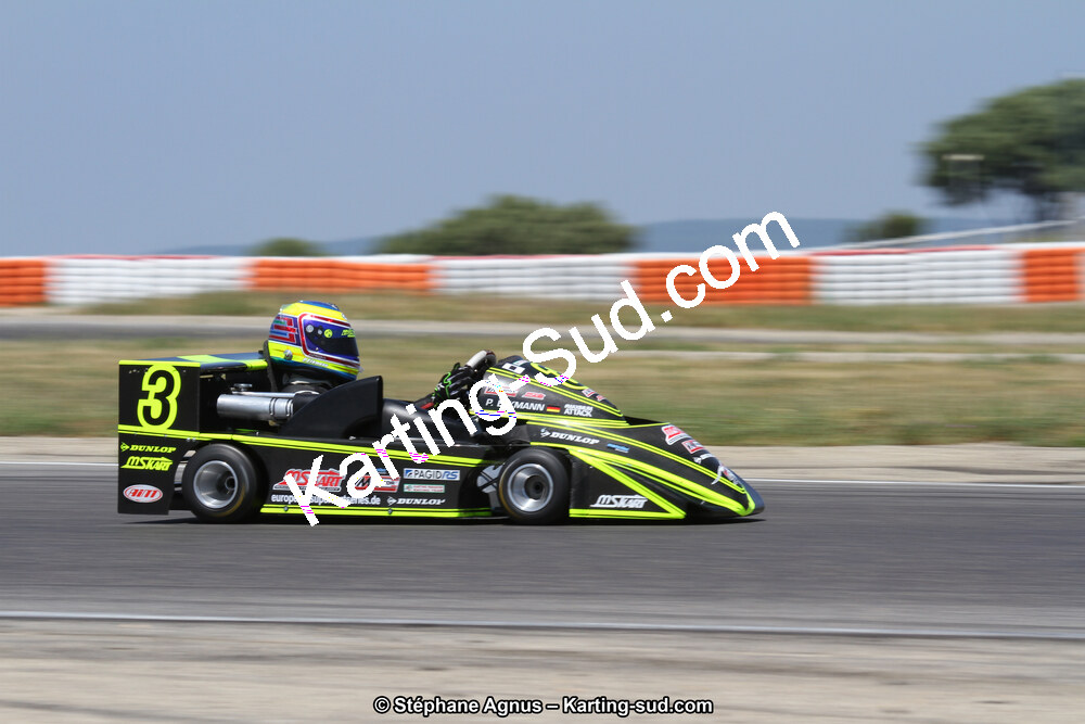 Peter ELKMANN — 30 & 31/05/2015 : SuperKart 250, TTI Carbone et Championnat de France Long Circuit KZ2 et KZ2 Gentleman à Lédenon (Photos Stéphane Agnus) 2015 — karting