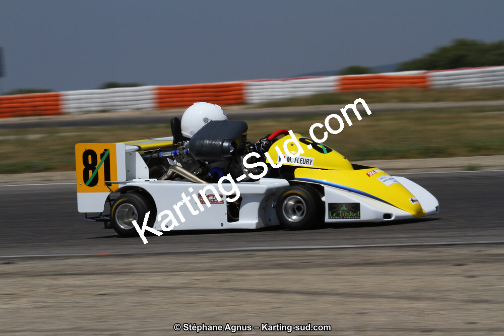 30 & 31/05/2015 : SuperKart 250, TTI Carbone et Championnat de France Long Circuit KZ2 et KZ2 Gentleman à Lédenon (Photos Stéphane Agnus) 2015 — karting