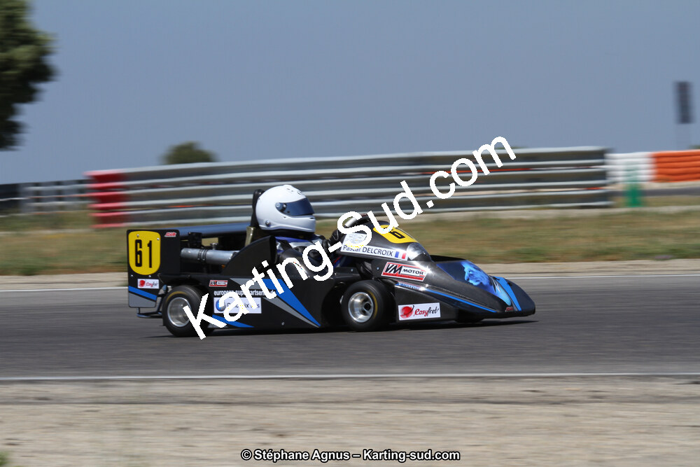 30 & 31/05/2015 : SuperKart 250, TTI Carbone et Championnat de France Long Circuit KZ2 et KZ2 Gentleman à Lédenon (Photos Stéphane Agnus) 2015 — karting