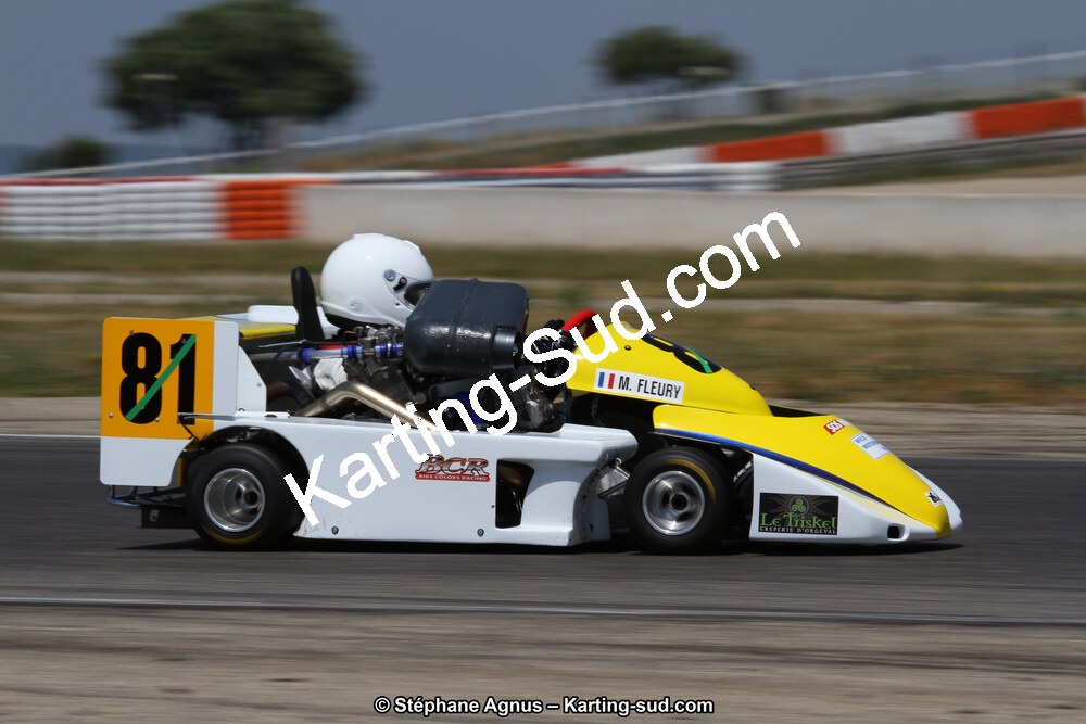 30 & 31/05/2015 : SuperKart 250, TTI Carbone et Championnat de France Long Circuit KZ2 et KZ2 Gentleman à Lédenon (Photos Stéphane Agnus) 2015 — karting