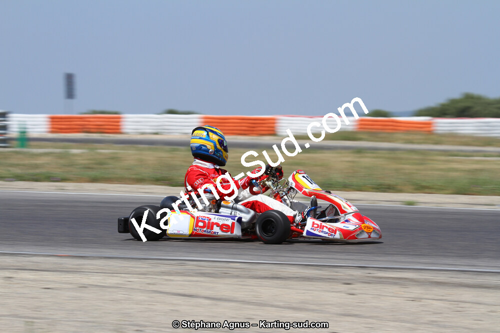 30 & 31/05/2015 : SuperKart 250, TTI Carbone et Championnat de France Long Circuit KZ2 et KZ2 Gentleman à Lédenon (Photos Stéphane Agnus) 2015 — karting