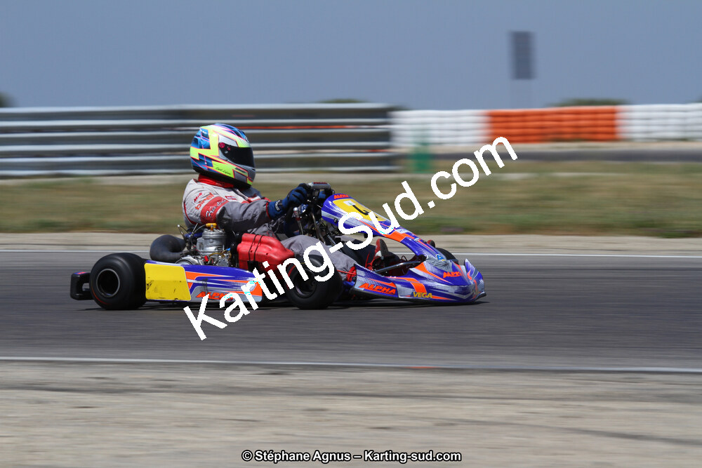 30 & 31/05/2015 : SuperKart 250, TTI Carbone et Championnat de France Long Circuit KZ2 et KZ2 Gentleman à Lédenon (Photos Stéphane Agnus) 2015 — karting