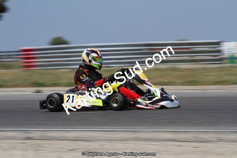 30 & 31/05/2015 : SuperKart 250, TTI Carbone et Championnat de France Long Circuit KZ2 et KZ2 Gentleman à Lédenon (Photos Stéphane Agnus) 2015 — karting