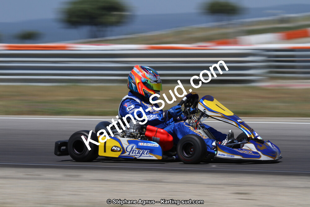 30 & 31/05/2015 : SuperKart 250, TTI Carbone et Championnat de France Long Circuit KZ2 et KZ2 Gentleman à Lédenon (Photos Stéphane Agnus) 2015 — karting
