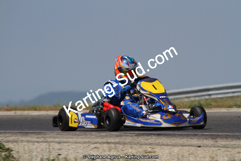 30 & 31/05/2015 : SuperKart 250, TTI Carbone et Championnat de France Long Circuit KZ2 et KZ2 Gentleman à Lédenon (Photos Stéphane Agnus) 2015 — karting