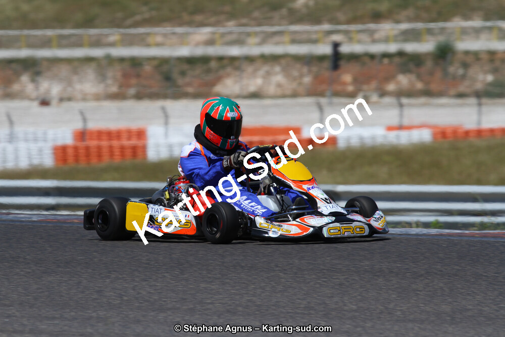 30 & 31/05/2015 : SuperKart 250, TTI Carbone et Championnat de France Long Circuit KZ2 et KZ2 Gentleman à Lédenon (Photos Stéphane Agnus) 2015 — karting