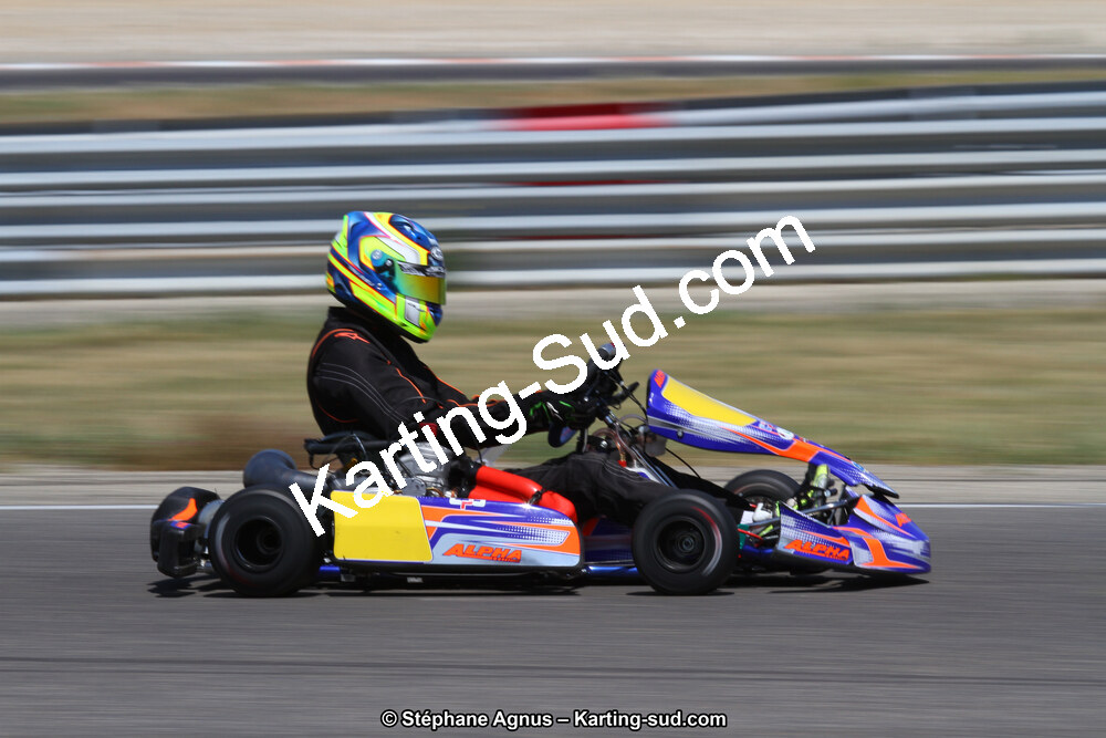 30 & 31/05/2015 : SuperKart 250, TTI Carbone et Championnat de France Long Circuit KZ2 et KZ2 Gentleman à Lédenon (Photos Stéphane Agnus) 2015 — karting
