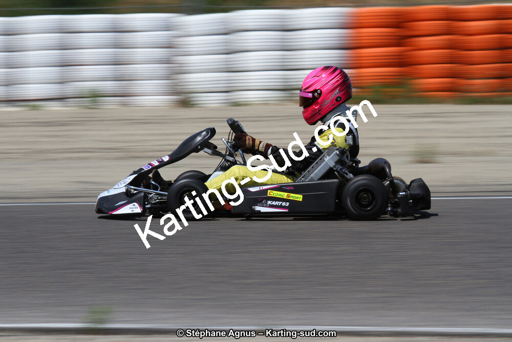 30 & 31/05/2015 : SuperKart 250, TTI Carbone et Championnat de France Long Circuit KZ2 et KZ2 Gentleman à Lédenon (Photos Stéphane Agnus) 2015 — karting