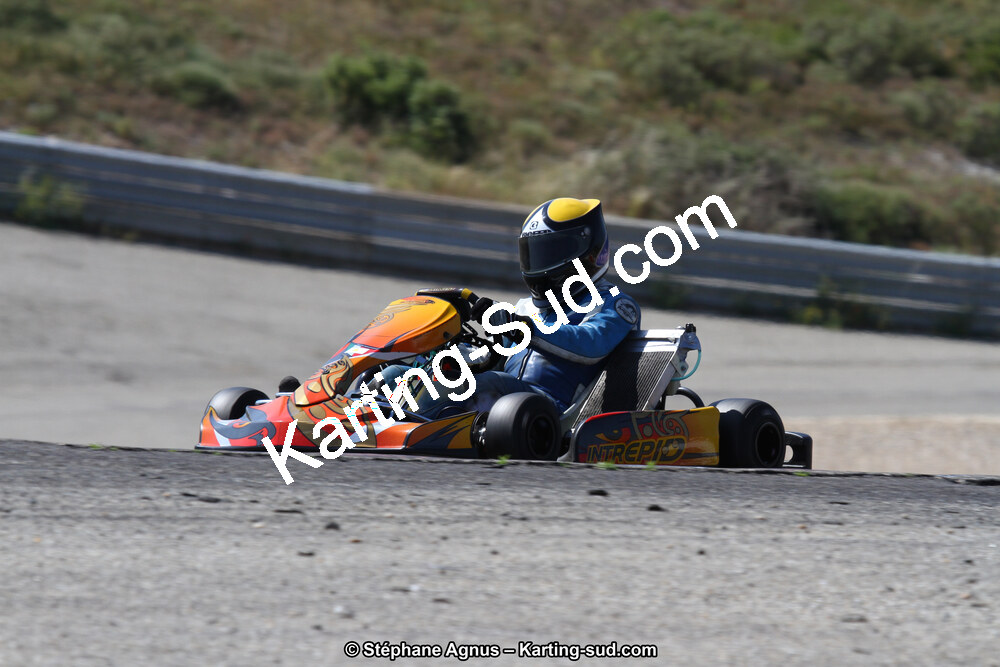 30 & 31/05/2015 : SuperKart 250, TTI Carbone et Championnat de France Long Circuit KZ2 et KZ2 Gentleman à Lédenon (Photos Stéphane Agnus) 2015 — karting