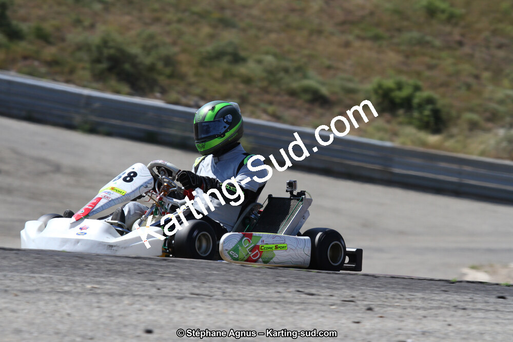 30 & 31/05/2015 : SuperKart 250, TTI Carbone et Championnat de France Long Circuit KZ2 et KZ2 Gentleman à Lédenon (Photos Stéphane Agnus) 2015 — karting