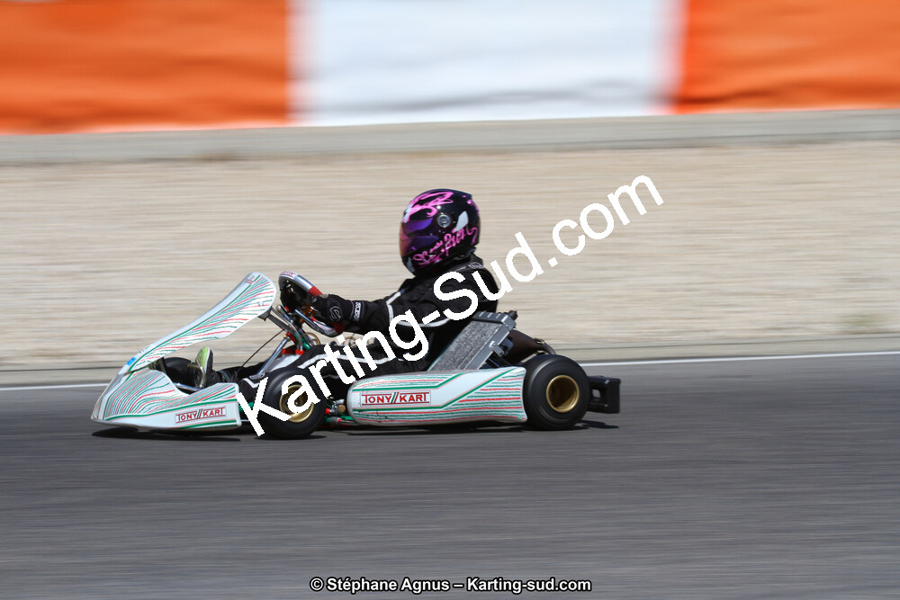 30 & 31/05/2015 : SuperKart 250, TTI Carbone et Championnat de France Long Circuit KZ2 et KZ2 Gentleman à Lédenon (Photos Stéphane Agnus) 2015 — karting