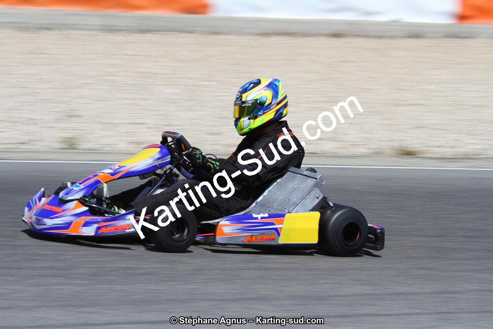 30 & 31/05/2015 : SuperKart 250, TTI Carbone et Championnat de France Long Circuit KZ2 et KZ2 Gentleman à Lédenon (Photos Stéphane Agnus) 2015 — karting