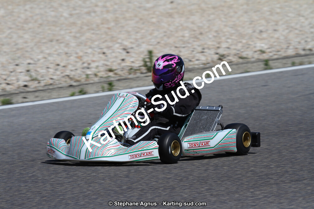30 & 31/05/2015 : SuperKart 250, TTI Carbone et Championnat de France Long Circuit KZ2 et KZ2 Gentleman à Lédenon (Photos Stéphane Agnus) 2015 — karting