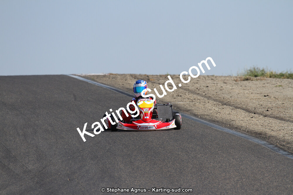 30 & 31/05/2015 : SuperKart 250, TTI Carbone et Championnat de France Long Circuit KZ2 et KZ2 Gentleman à Lédenon (Photos Stéphane Agnus) 2015 — karting