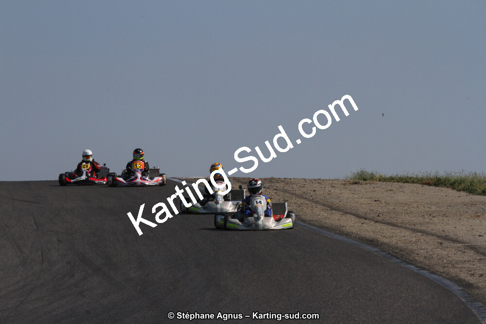30 & 31/05/2015 : SuperKart 250, TTI Carbone et Championnat de France Long Circuit KZ2 et KZ2 Gentleman à Lédenon (Photos Stéphane Agnus) 2015 — karting
