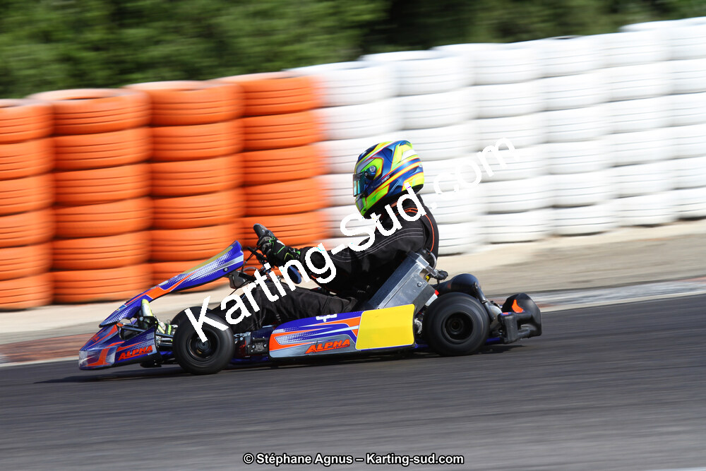 30 & 31/05/2015 : SuperKart 250, TTI Carbone et Championnat de France Long Circuit KZ2 et KZ2 Gentleman à Lédenon (Photos Stéphane Agnus) 2015 — karting