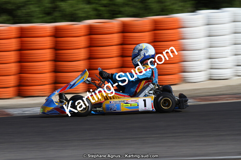 30 & 31/05/2015 : SuperKart 250, TTI Carbone et Championnat de France Long Circuit KZ2 et KZ2 Gentleman à Lédenon (Photos Stéphane Agnus) 2015 — karting
