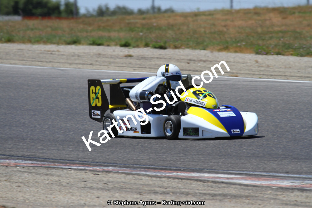 30 & 31/05/2015 : SuperKart 250, TTI Carbone et Championnat de France Long Circuit KZ2 et KZ2 Gentleman à Lédenon (Photos Stéphane Agnus) 2015 — karting