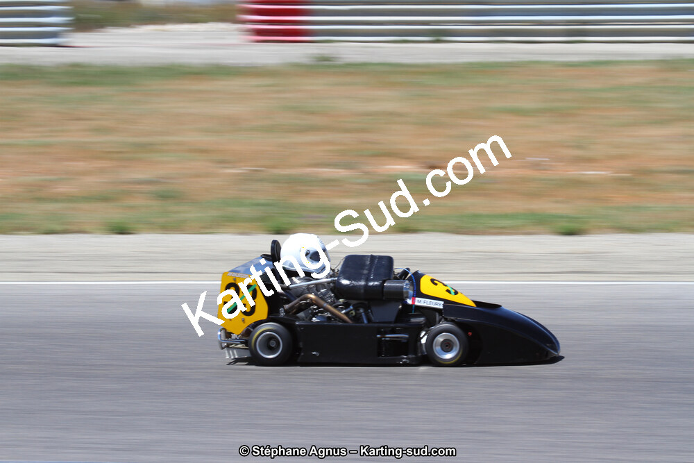 30 & 31/05/2015 : SuperKart 250, TTI Carbone et Championnat de France Long Circuit KZ2 et KZ2 Gentleman à Lédenon (Photos Stéphane Agnus) 2015 — karting