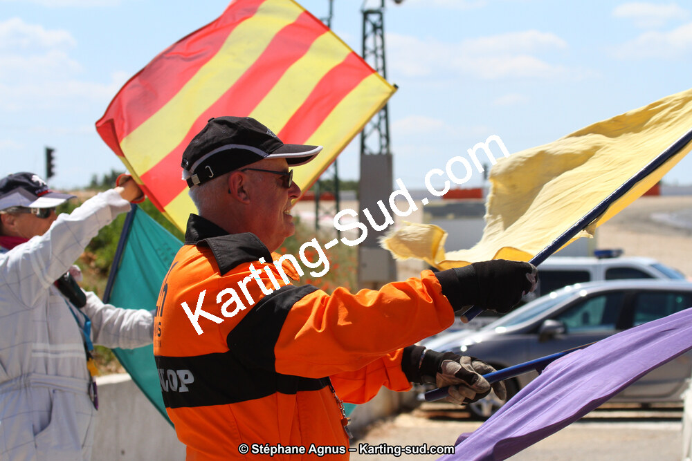 30 & 31/05/2015 : SuperKart 250, TTI Carbone et Championnat de France Long Circuit KZ2 et KZ2 Gentleman à Lédenon (Photos Stéphane Agnus) 2015 — karting