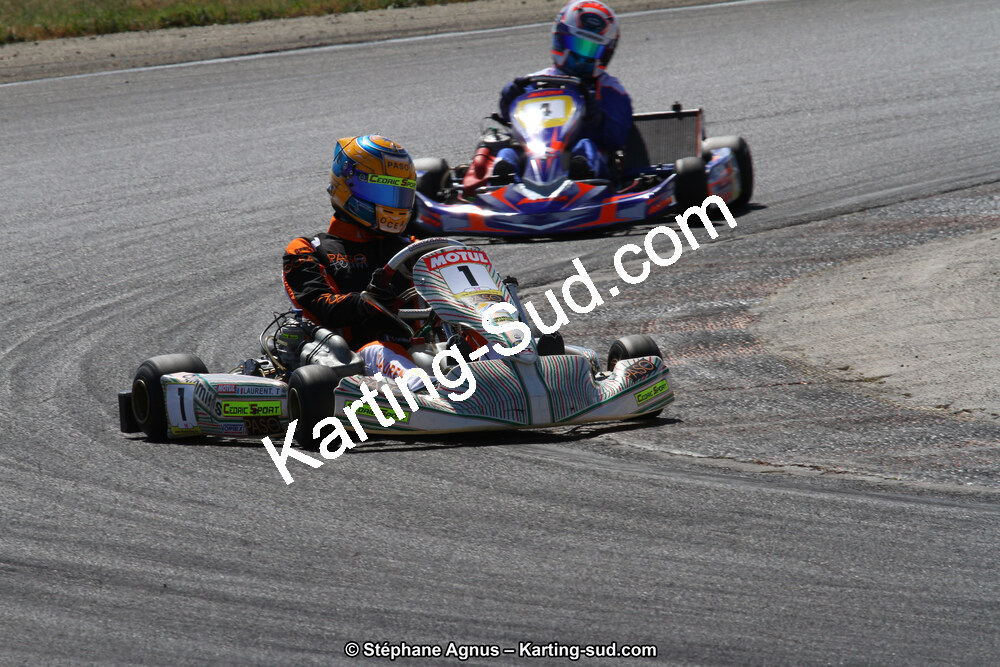 30 & 31/05/2015 : SuperKart 250, TTI Carbone et Championnat de France Long Circuit KZ2 et KZ2 Gentleman à Lédenon (Photos Stéphane Agnus) 2015 — karting