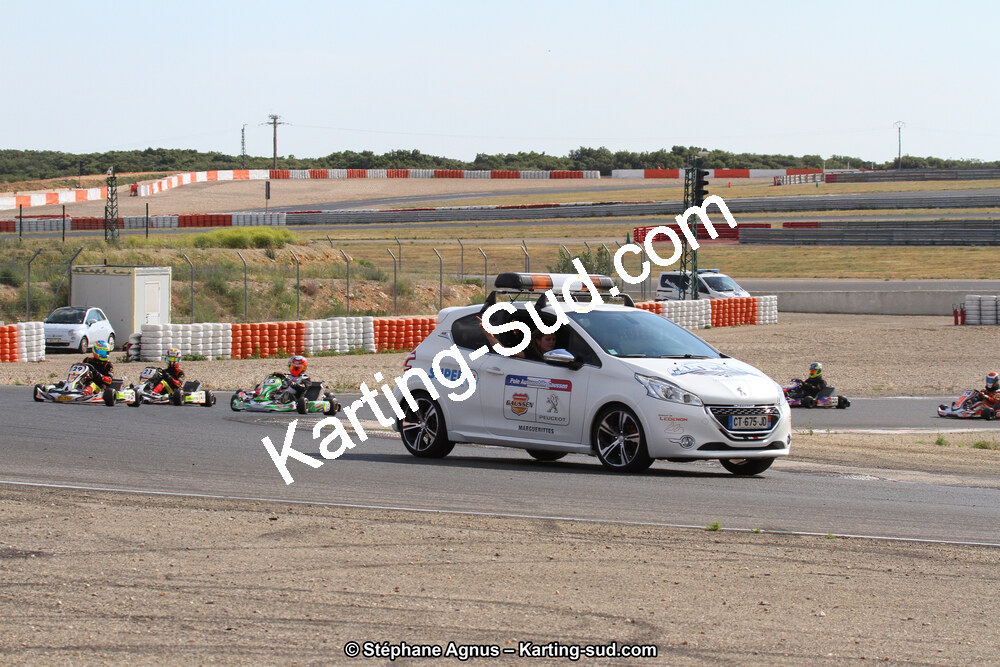 30 & 31/05/2015 : SuperKart 250, TTI Carbone et Championnat de France Long Circuit KZ2 et KZ2 Gentleman à Lédenon (Photos Stéphane Agnus) 2015 — karting