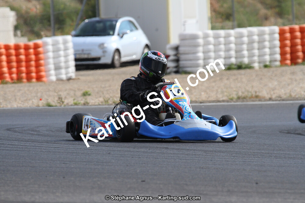 30 & 31/05/2015 : SuperKart 250, TTI Carbone et Championnat de France Long Circuit KZ2 et KZ2 Gentleman à Lédenon (Photos Stéphane Agnus) 2015 — karting