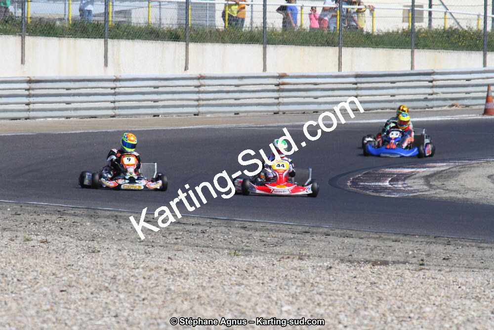 IMG_4039.JPG