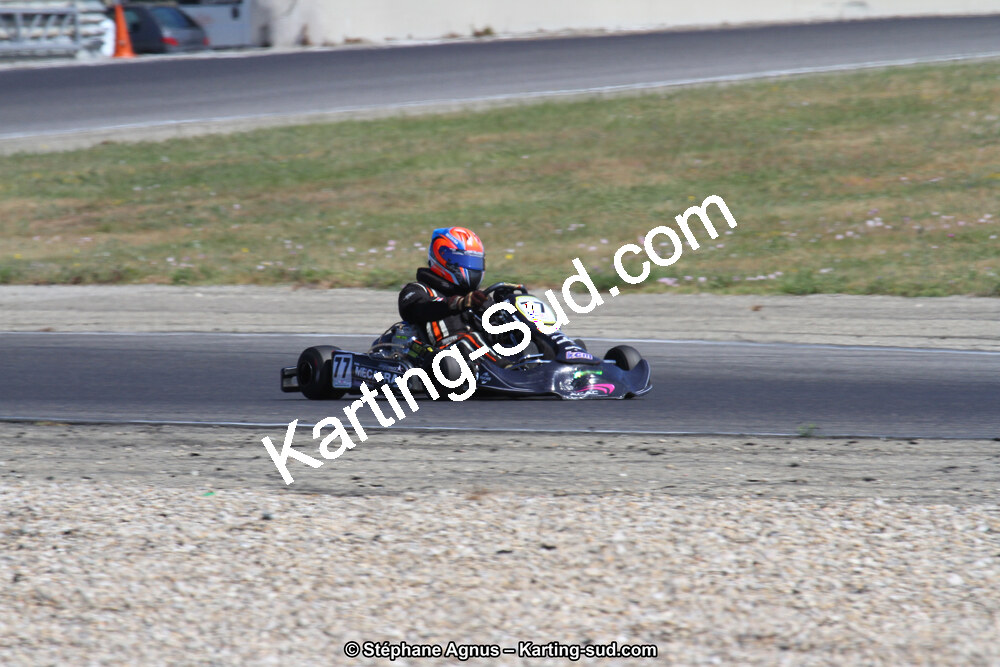30 & 31/05/2015 : SuperKart 250, TTI Carbone et Championnat de France Long Circuit KZ2 et KZ2 Gentleman à Lédenon (Photos Stéphane Agnus) 2015 — karting