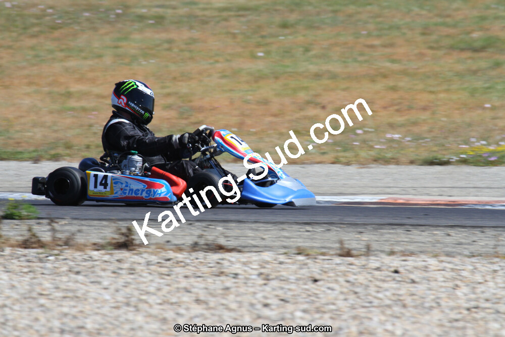 30 & 31/05/2015 : SuperKart 250, TTI Carbone et Championnat de France Long Circuit KZ2 et KZ2 Gentleman à Lédenon (Photos Stéphane Agnus) 2015 — karting