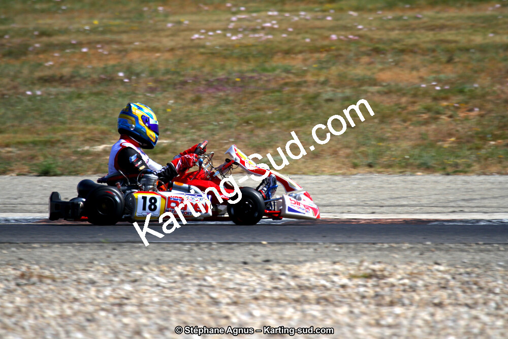 30 & 31/05/2015 : SuperKart 250, TTI Carbone et Championnat de France Long Circuit KZ2 et KZ2 Gentleman à Lédenon (Photos Stéphane Agnus) 2015 — karting